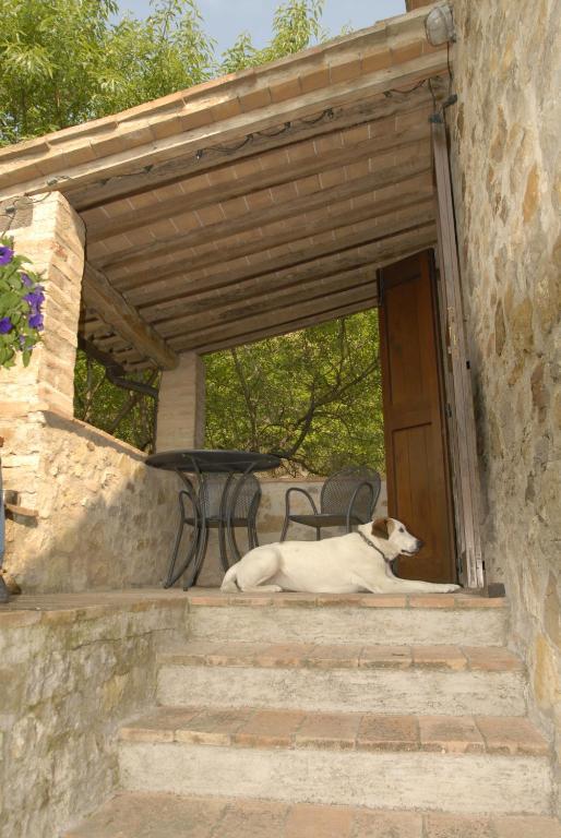 Podere Monte Petreto San Savino  Zimmer foto