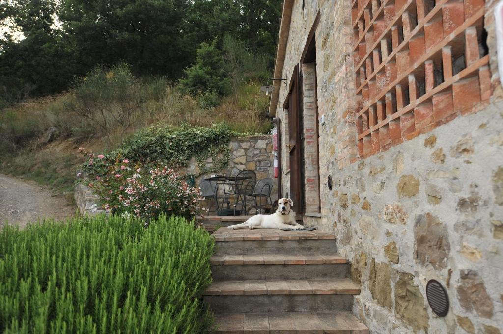 Podere Monte Petreto San Savino  Zimmer foto